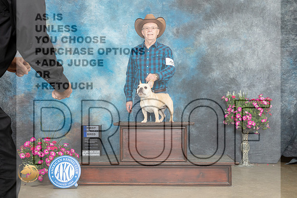 French Bulldog #46 Sat 1st Judge Gary Andersen_MJ_6465_ARK2023_HR3