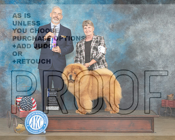 Chow #5 Thur BOWCH Judge Dale Martenson_MJ_5659_ARK2023_HR3