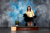 Poodle Std #220 FRI G4 Judge Lila Fast