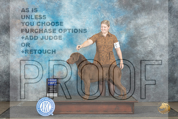 Chesapeake Bay Retriever #5 Sun G1 Judge Nancy Simmons__JP_4192_Lubbock_2024_HR3