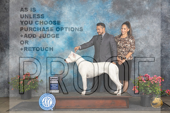 Dogo Argento #12 Fri G4 Judge Wendy G Willhauck__JP_4491_San Antonio_2024_HR3