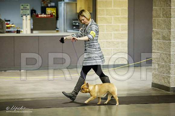 _JJ_5571-BeltonJan2015IABCA-HR3