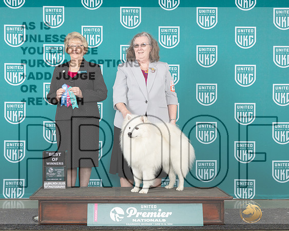 American Eskimo #925 Sat BOW Judge Deb Allen_JP_2031e_Premier_2024-HR3