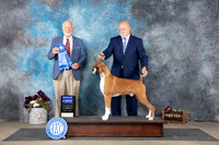 Boxer #11 Sun G1 Judge Eric Leibes