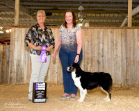 Australian Shepherd #? Sun WB Cathy Kenny