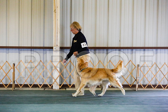 _CA_0546-DFWLabNov2015-©JulienLambertphoto.com-HR3