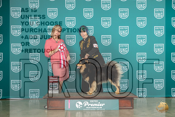 Finnish Laphund #140 Sat G2 Judge Felicity TrammellMJP_5348_Premier2023_HR3
