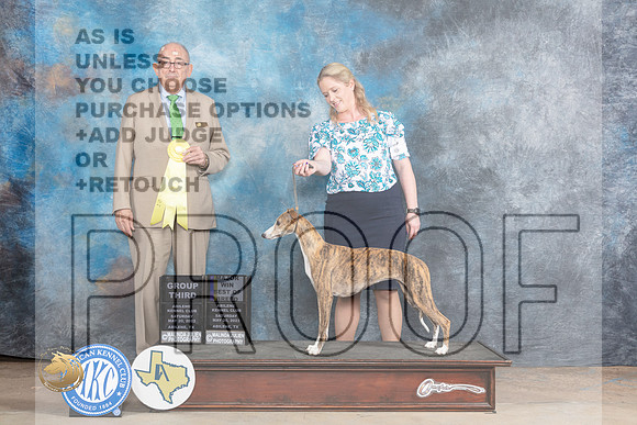 Whippet #6 Sat BOBMG3 Judge Joe WaltonMJP_1148_Abilene_2023_HR3