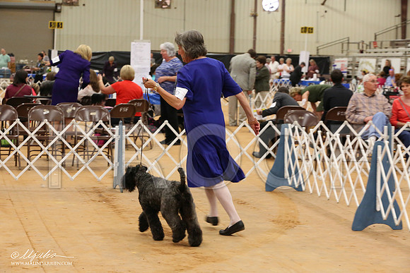 Kerry-2514-Tex2013 HR3