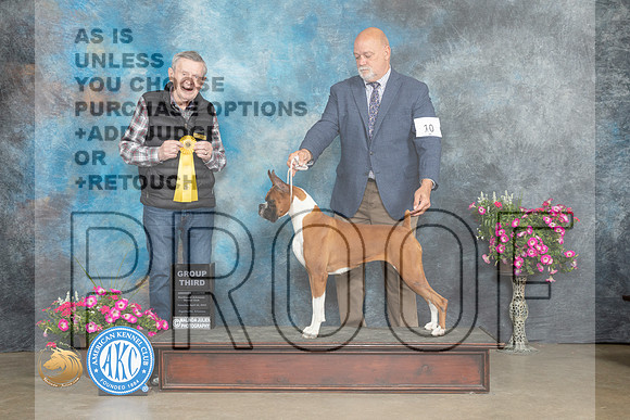 Boxer #10 Sat G3 Judge Terry Stacy_MJ_6795_ARK2023_HR3
