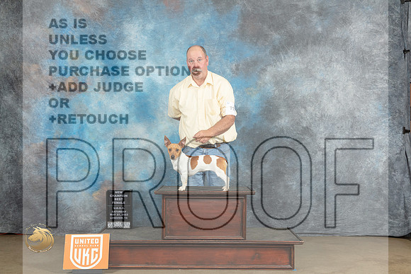 Teddy Roosevelt Terrier #109 Sat COC Judge Matthew ProctorMJP_2432_UKCLNVWMAY2023_HR3