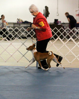 Wanda Pooley Hutto Feb 2012