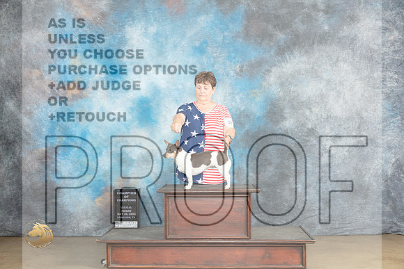 Teddy Roosevelt #273  Fri CH Judge Chandra MartinMJP_1962_UKCLNVWMAY2023_HR3
