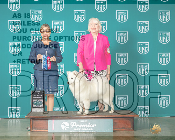 American Eskimo #711 Sat BOVBF Judge Felicity Trammell-MJP_5062e-Premier2023-HR3
