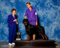 Rottweiler #6 Sun BOB Stafford Nancy Agent Shawna Swanson Judge Patricia Trotter