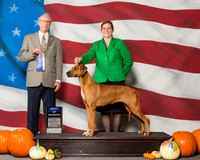 Rhodesian Ridgebacks #26 Sat BOW Wagner Elizabeth Lane Todd David Hurst Judge Mr Allen L Odom