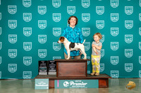Parson Russell Terrier #349 Fri BMBOWBOB Judge Ron Horn