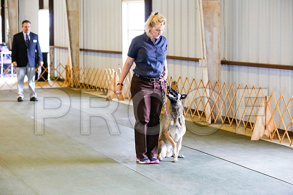 _CA_0617-DFWLabNov2015-©JulienLambertphoto.com-HR3