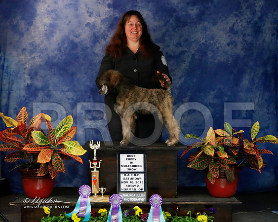 PdMC-9125-NormNov2013-HR