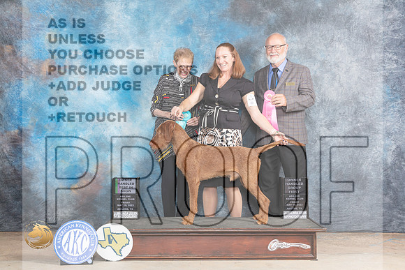 Wirehaired Vizsla #5 Fri OHBIS Judge Edweena (Teddy) Mc DowellMJP_0608_Abilene_2023_HR3