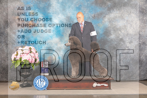 Poodle Standard #11 FRI WD BOP Judge Steven Keating_MJ_5630_Houston_2022_HR3