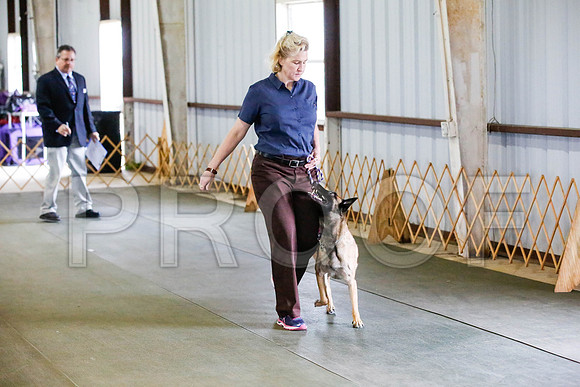 _CA_0615-DFWLabNov2015-©JulienLambertphoto.com-HR3