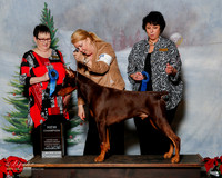 Doberman Pinscher #? Sat G1 NC