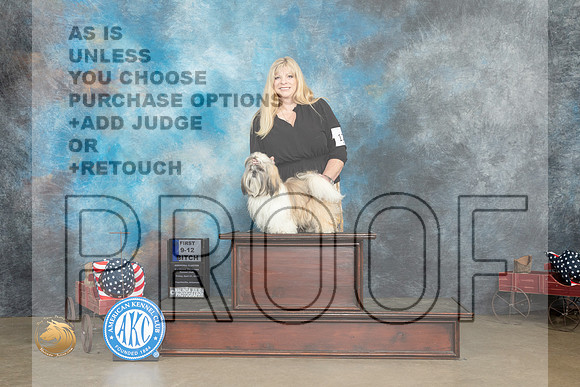Shih Tzu #12 Fri 9-121st Judge Gary Andersen_MJ_5996_ARK2023_HR3