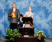 Australian Shepherd #? Sun Best Puppy Judge Bruce Barnes
