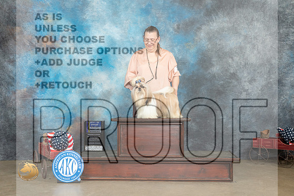 Shih Tzu #15 Fri BOBBOWM Judge Gary Andersen_MJ_5999_ARK2023_HR3