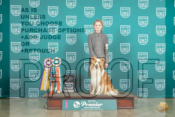 Border Collie #792 Thur Fri Sat MJP_6333_Premier2023_HR3