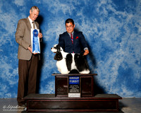 Cocker Spaniel #5 Fri G1 Bowen Linda and Tim Bowen Judge Jon Cole
