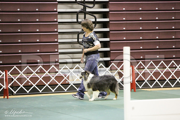 ObOpnA-9696-HR