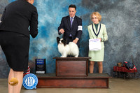 Papillon #19 Thur G1 Judge Terry Stacy