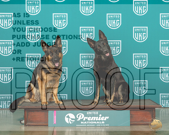 German Shepherd Dogs Mother DaughterMJP_4773_Premier2023_HR3