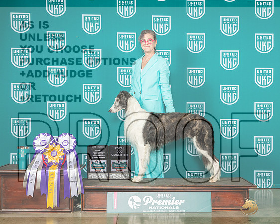 Silken Windhound #1133 Sat-MJP_5050e-Premier2023-HR3