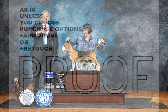 Beagle 15 #7 Fri WDBOWM Judge Dale Martensen__JP_7046_MARSHALL_2024_HR3