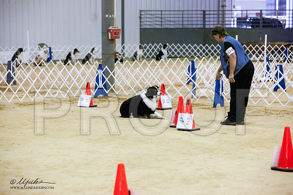 _JJ_4006-ASCACollegeStationNov2014-HR3