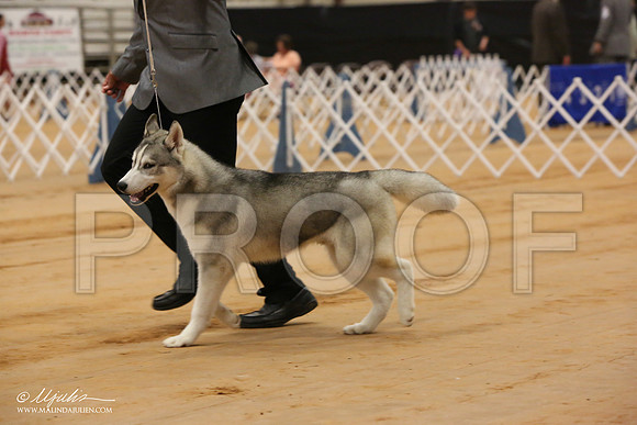 Husk-1480-Tex2013 HR3