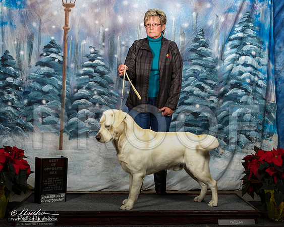 _ST_8091-DallasDec2014-HR3