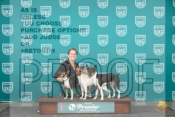 Rat Terriers Jeri Berg__JP_3401_Premier_2024_HR3
