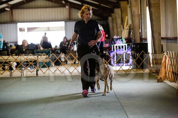 _CA_0632-DFWLabNov2015-©JulienLambertphoto.com-HR3