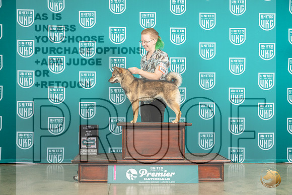 Hokkaido #545 Sun BOBCH Judge David KittredgeMJP_5887_Premier2023_HR3