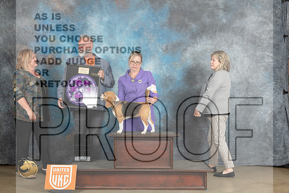 Teddy Roosevelt Terrier #402 Sat Judge PBIS Judge Matthew ProctorMJP_2445_UKCLNVWMAY2023_HR3