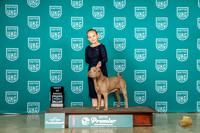 Chinese Shar-pei #423 Thur BOB Judge Renee Strong