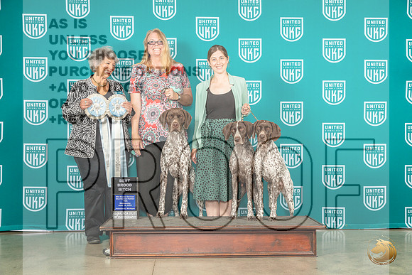 German Shorthaired Pointer #? Brace Judge Mary KingMJP_3526_Premier2023_HR3