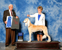Saluki #5 Sat G1 Middlebrooks Turley Kocab and M Kocab Agent Erin Roberts Judge Charles Trotter