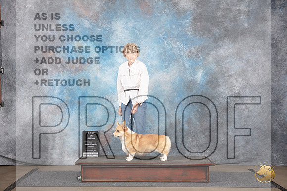 Pembroke Welsh Corgi #605 Fri BIS Judge Malinda Julien__JP_2403_LongviewTX_2024_HR3