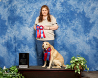 Labrador Retriever #? Sun HIT Patti Benton