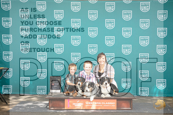 Miniature American Shepherd Family Photo Fri __JP_1104_Longview WA_2024_HR3